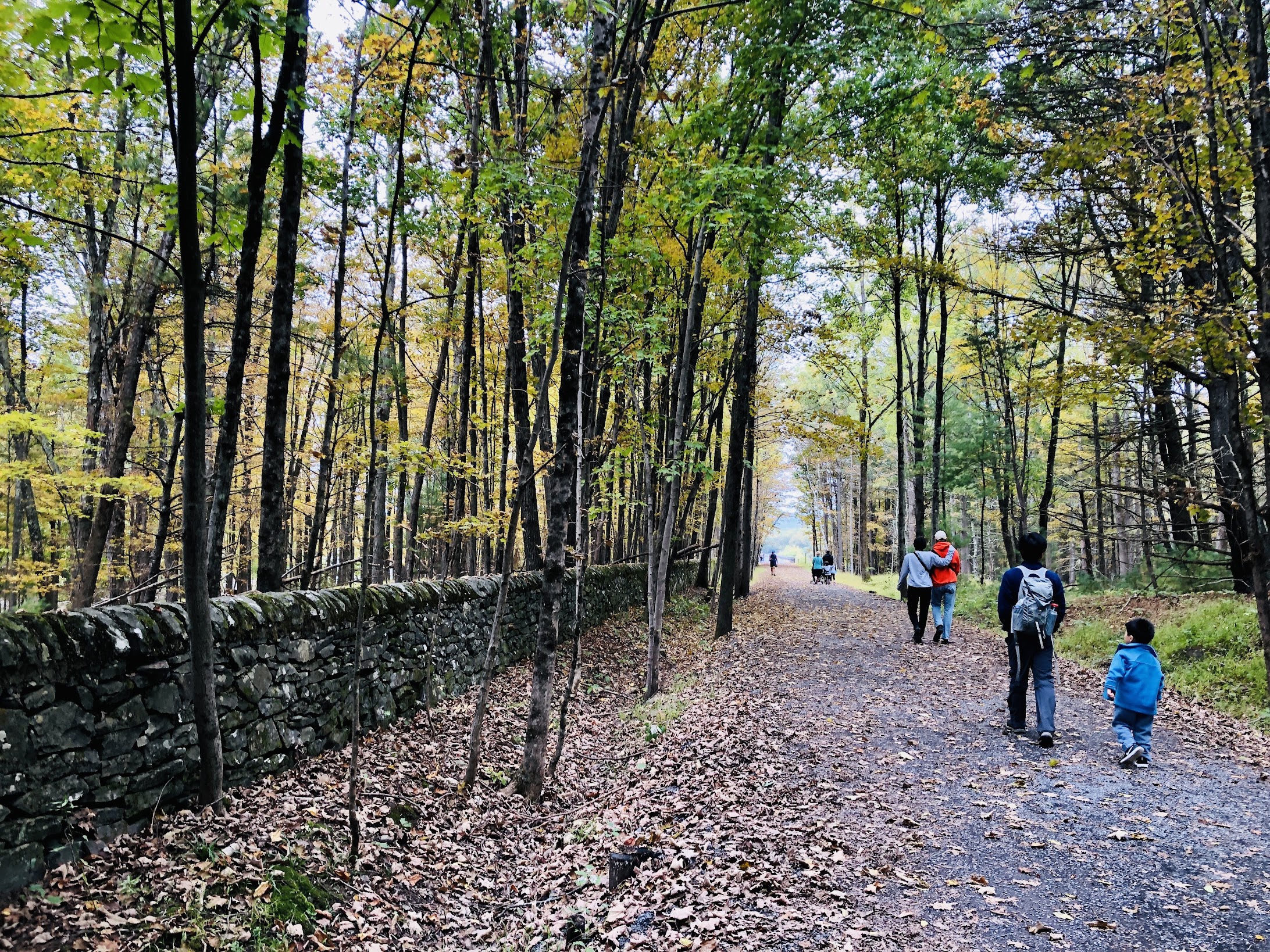 catskill