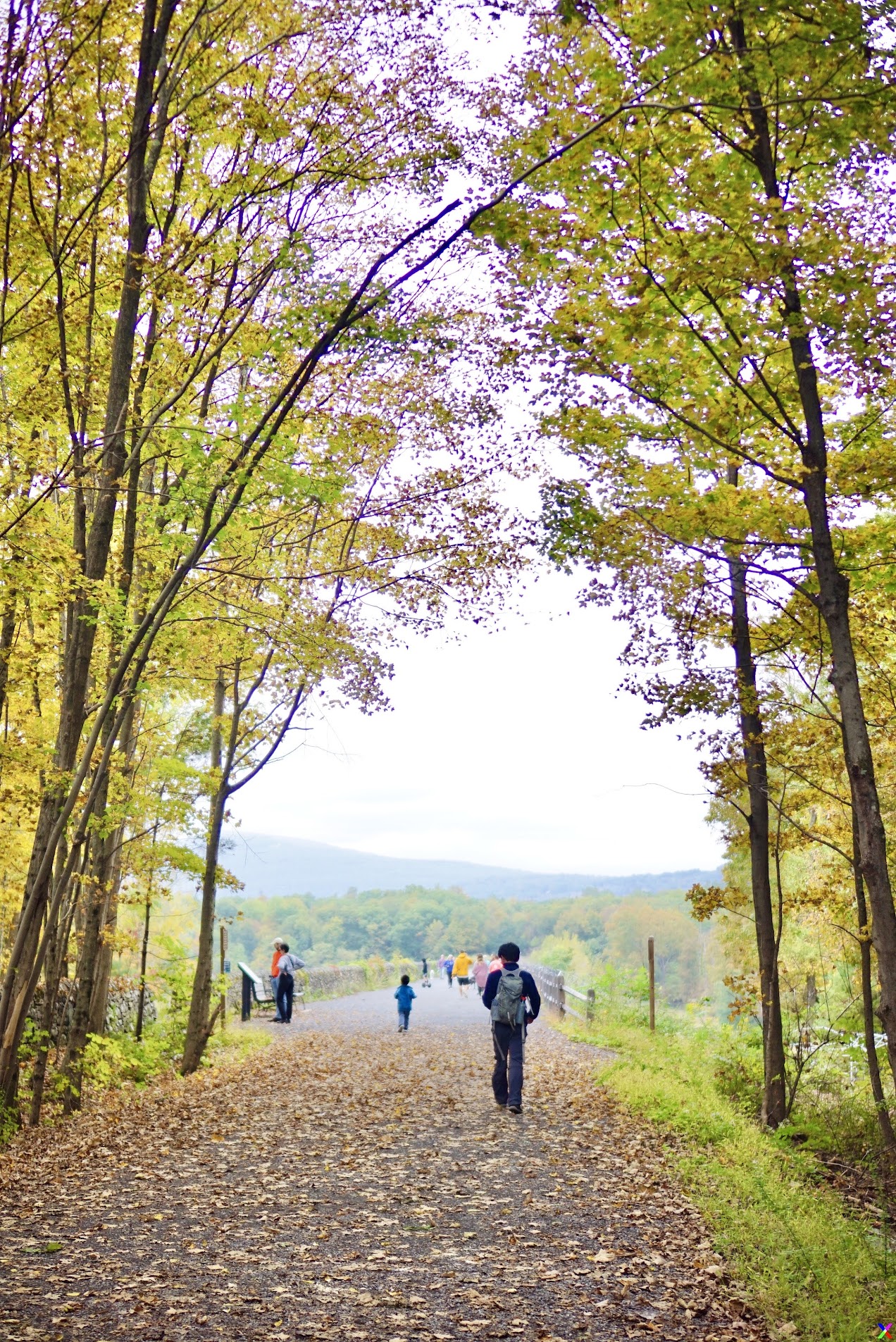 catskill