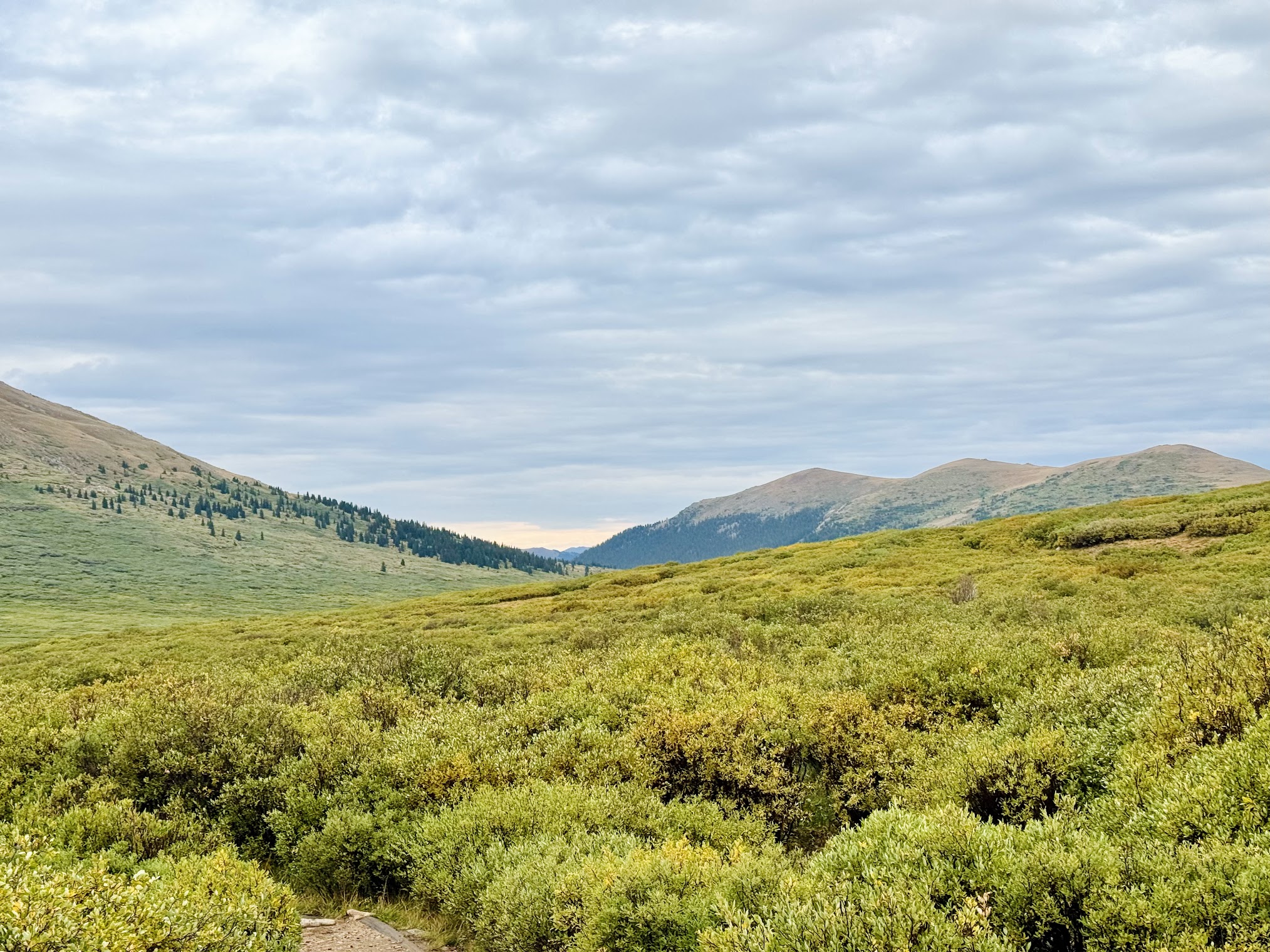 MtBierstadt