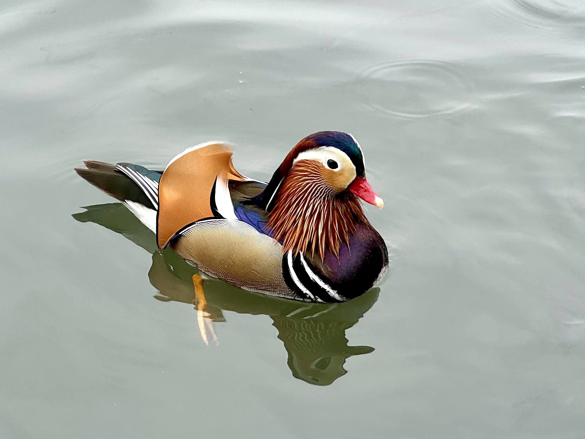 hangzhou