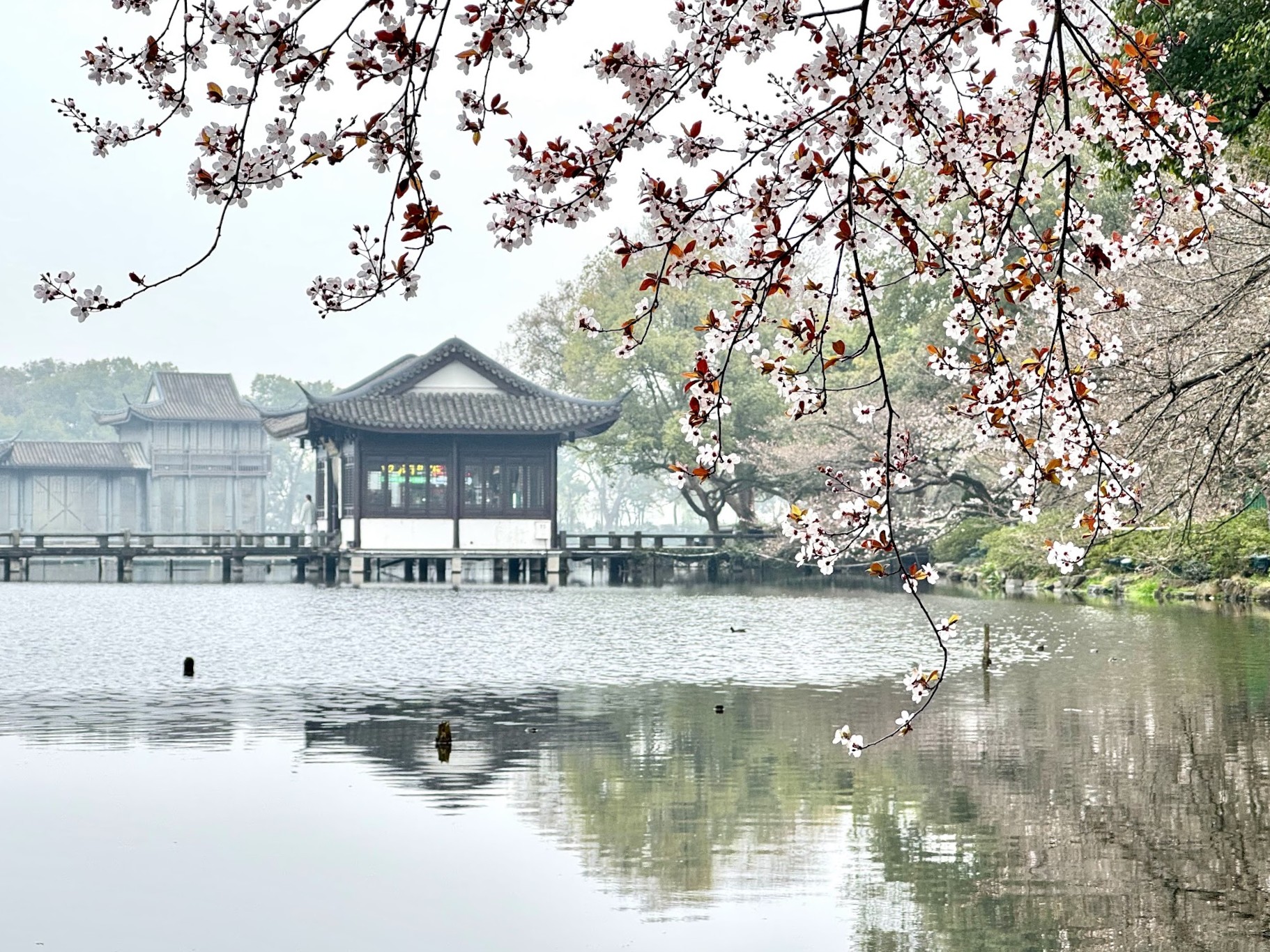 hangzhou