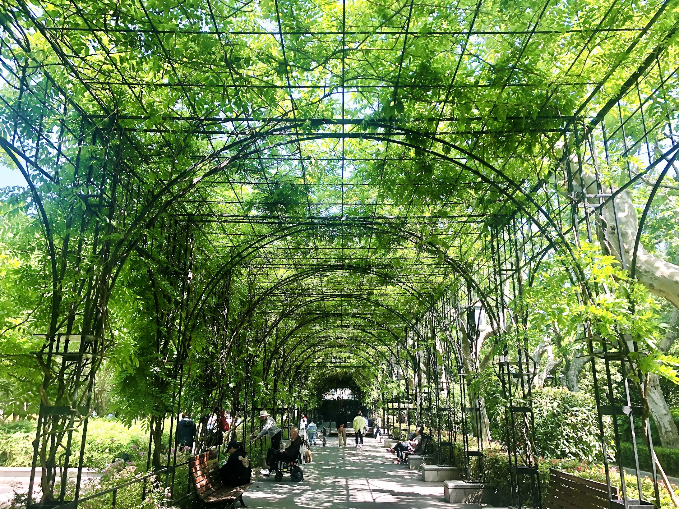 Shanghai