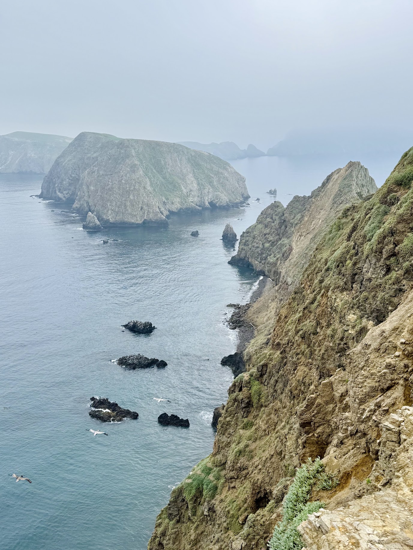 ChannelIslands