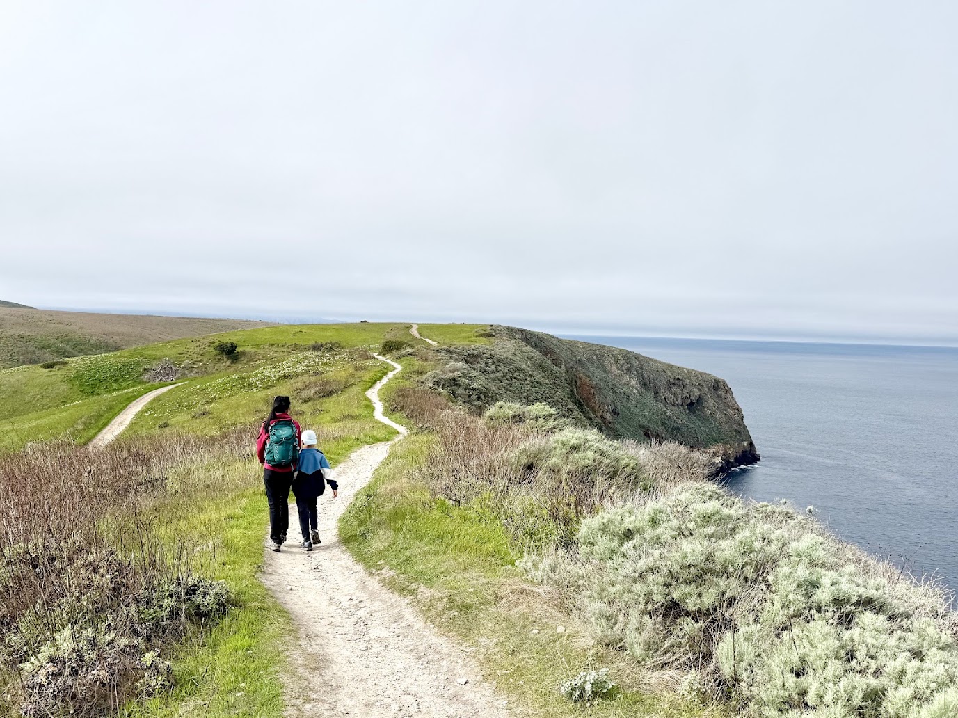 ChannelIslands