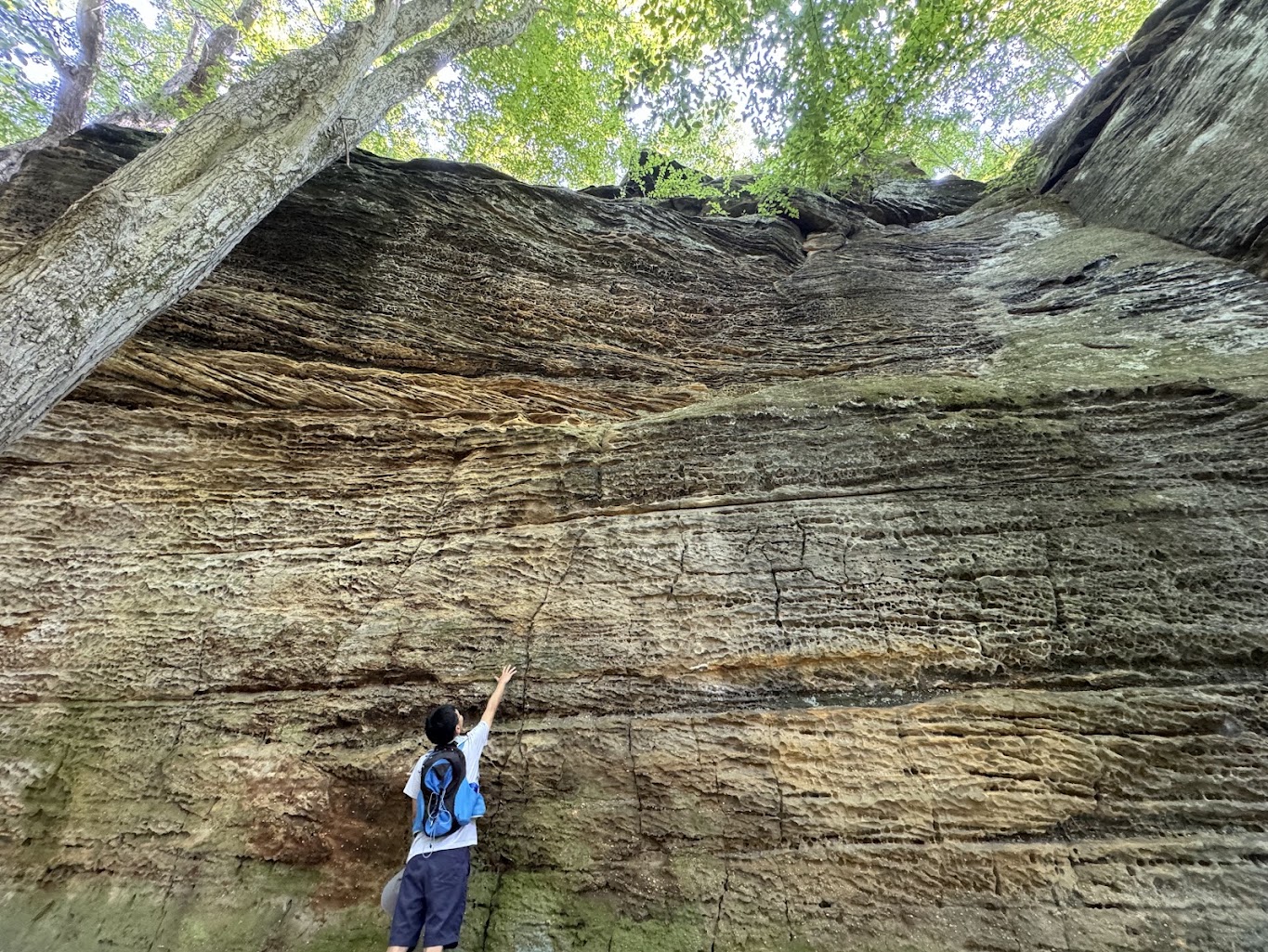 Cuyahoga