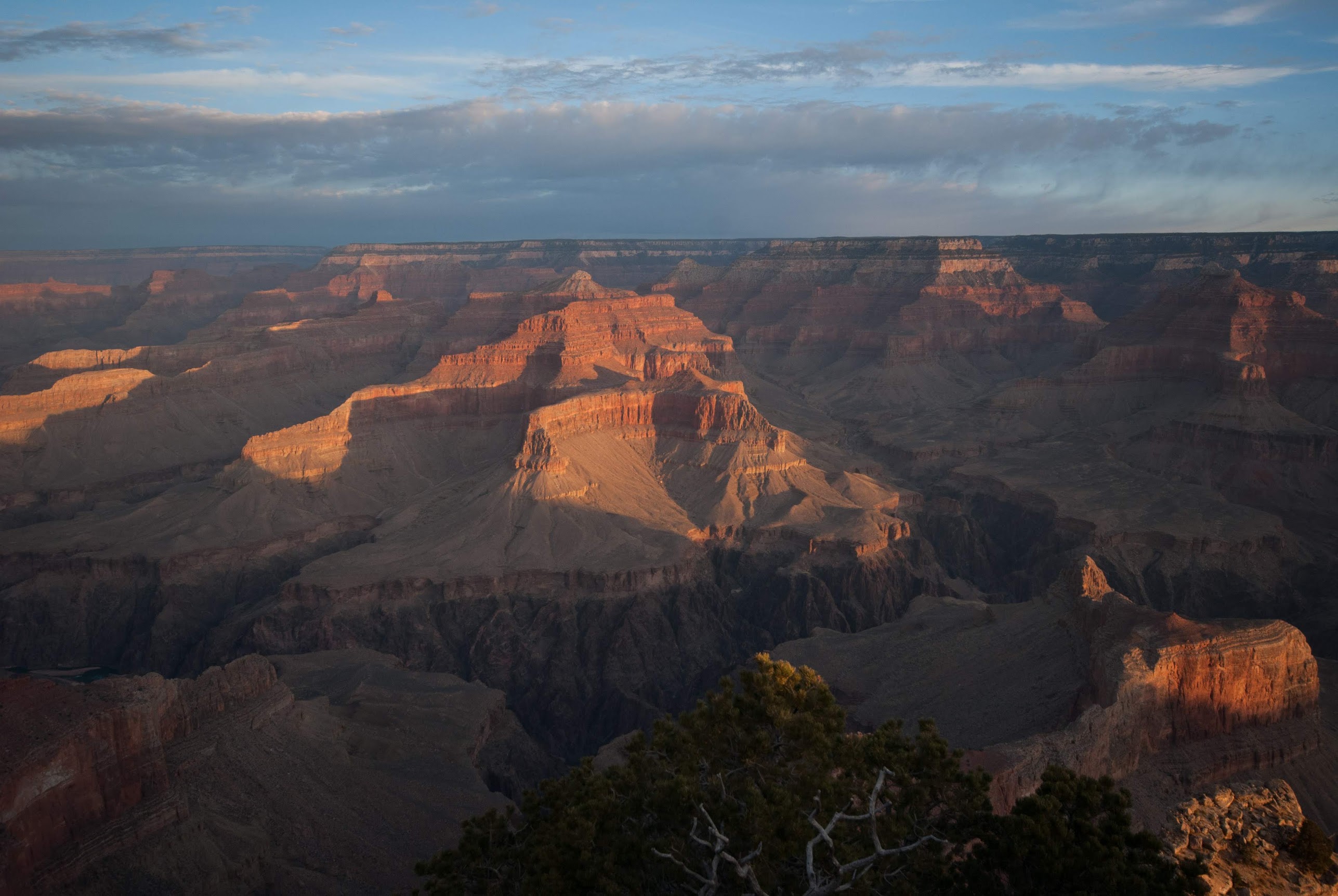 GrandCanyon
