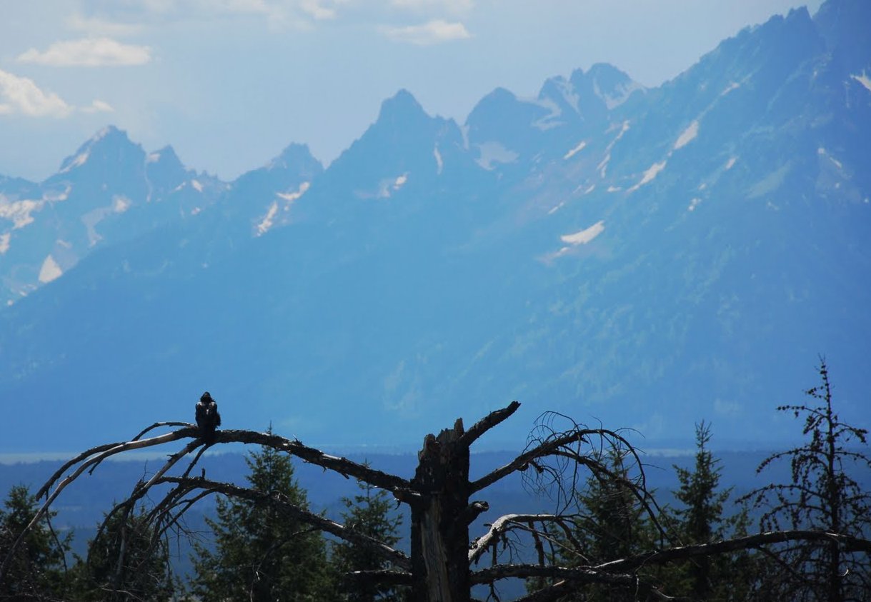 GrandTeton