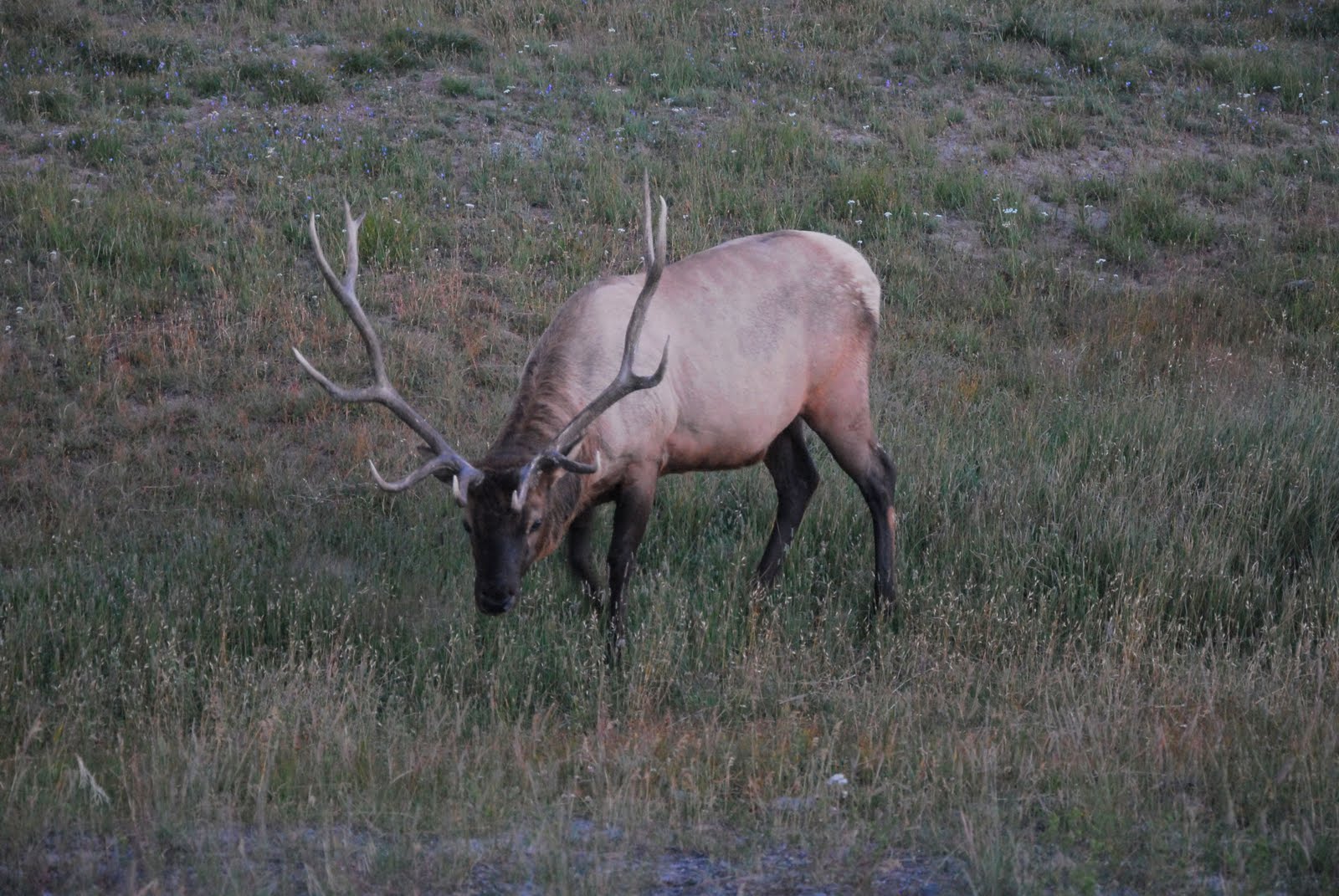 GrandTeton