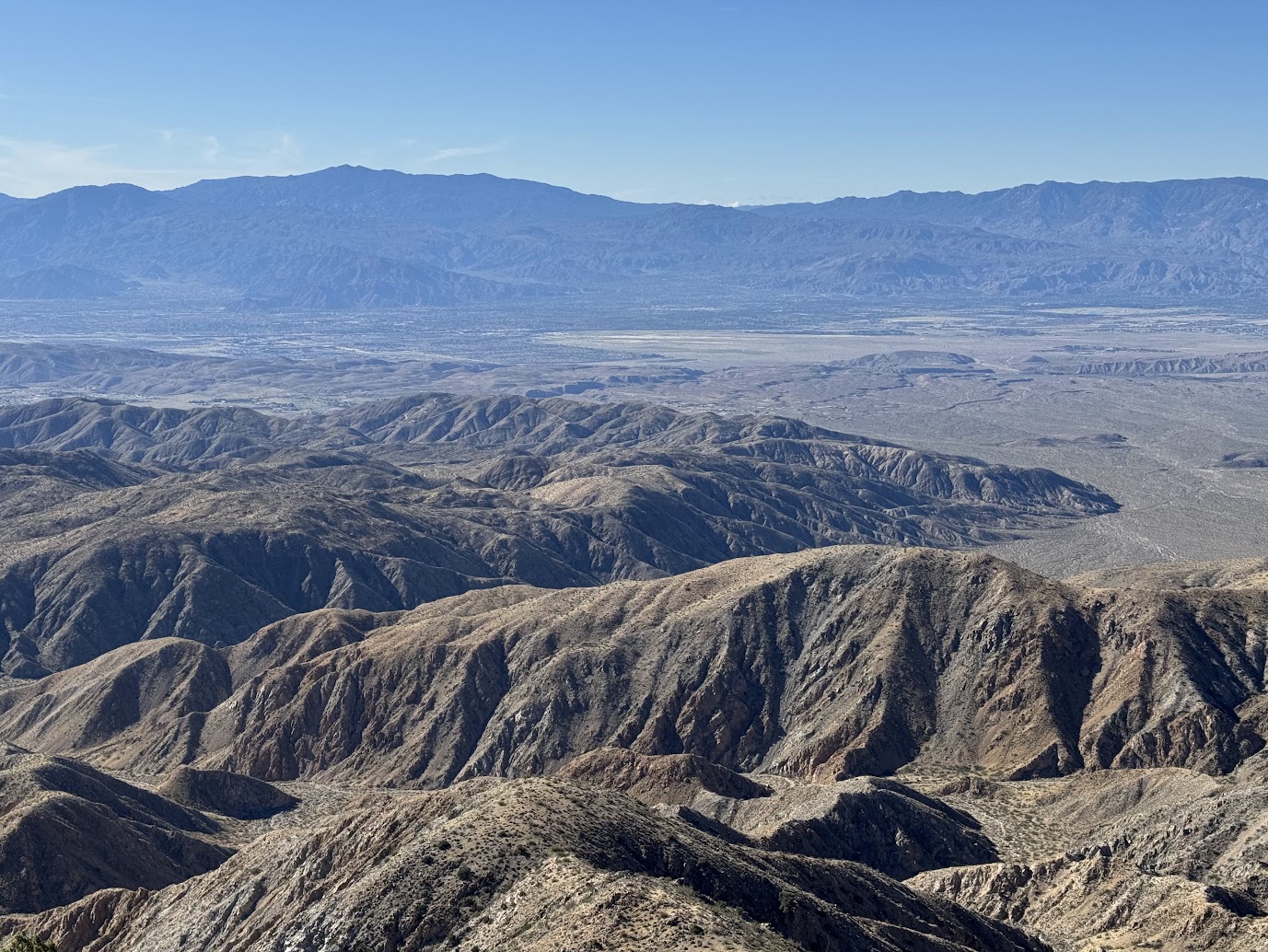 JoshuaTree