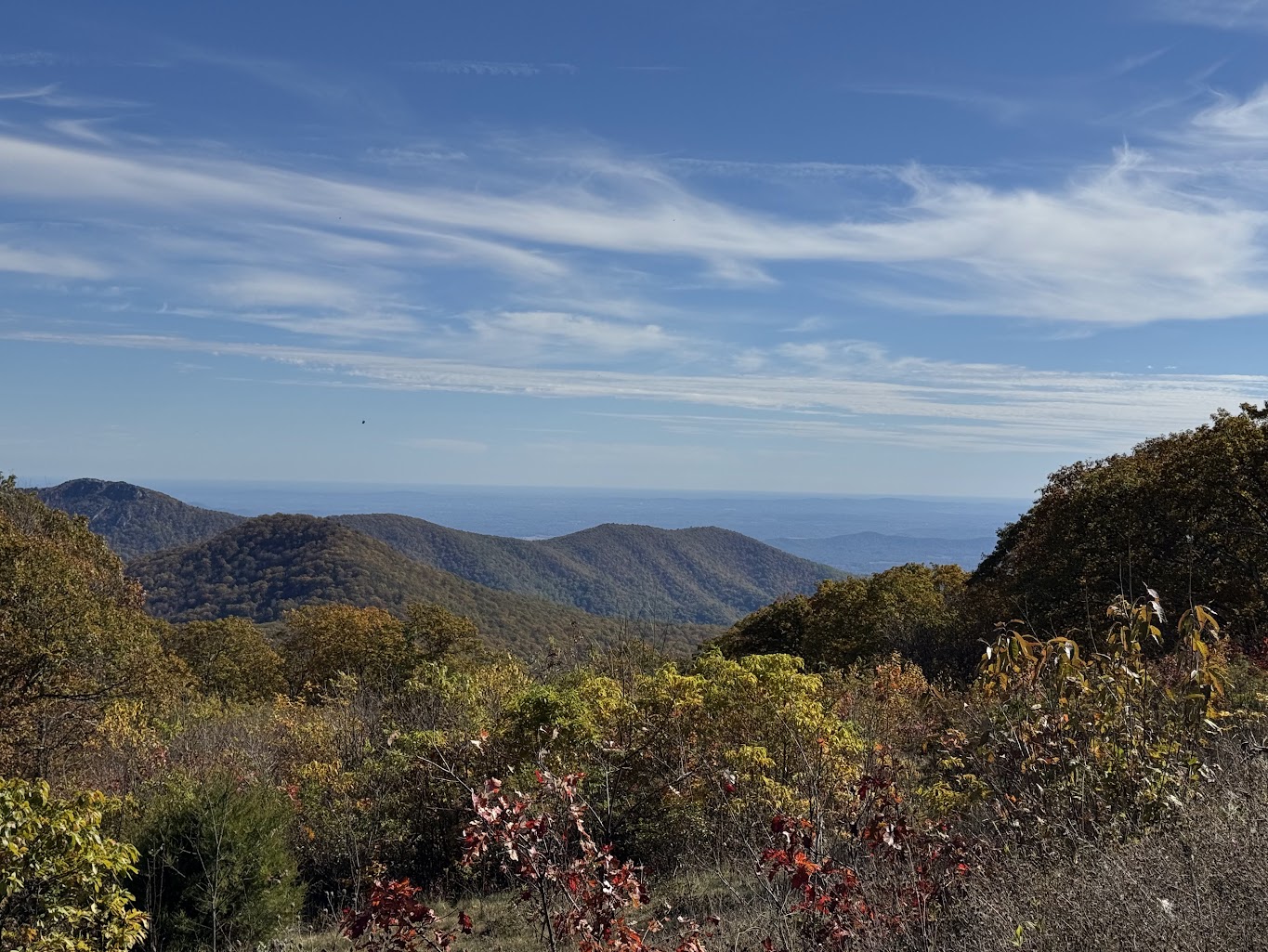 Shenandoah