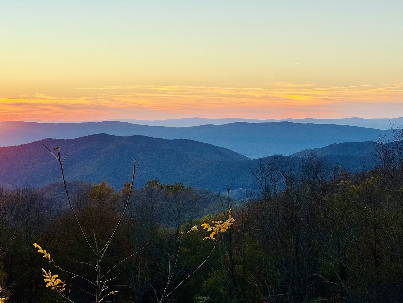 Shenandoah