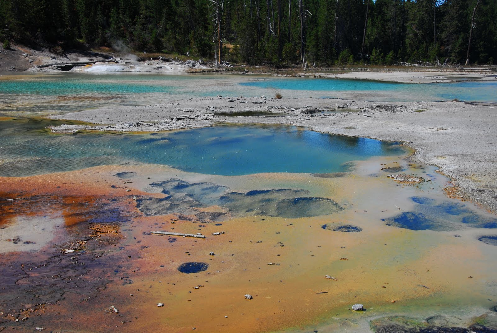 Yellowstone