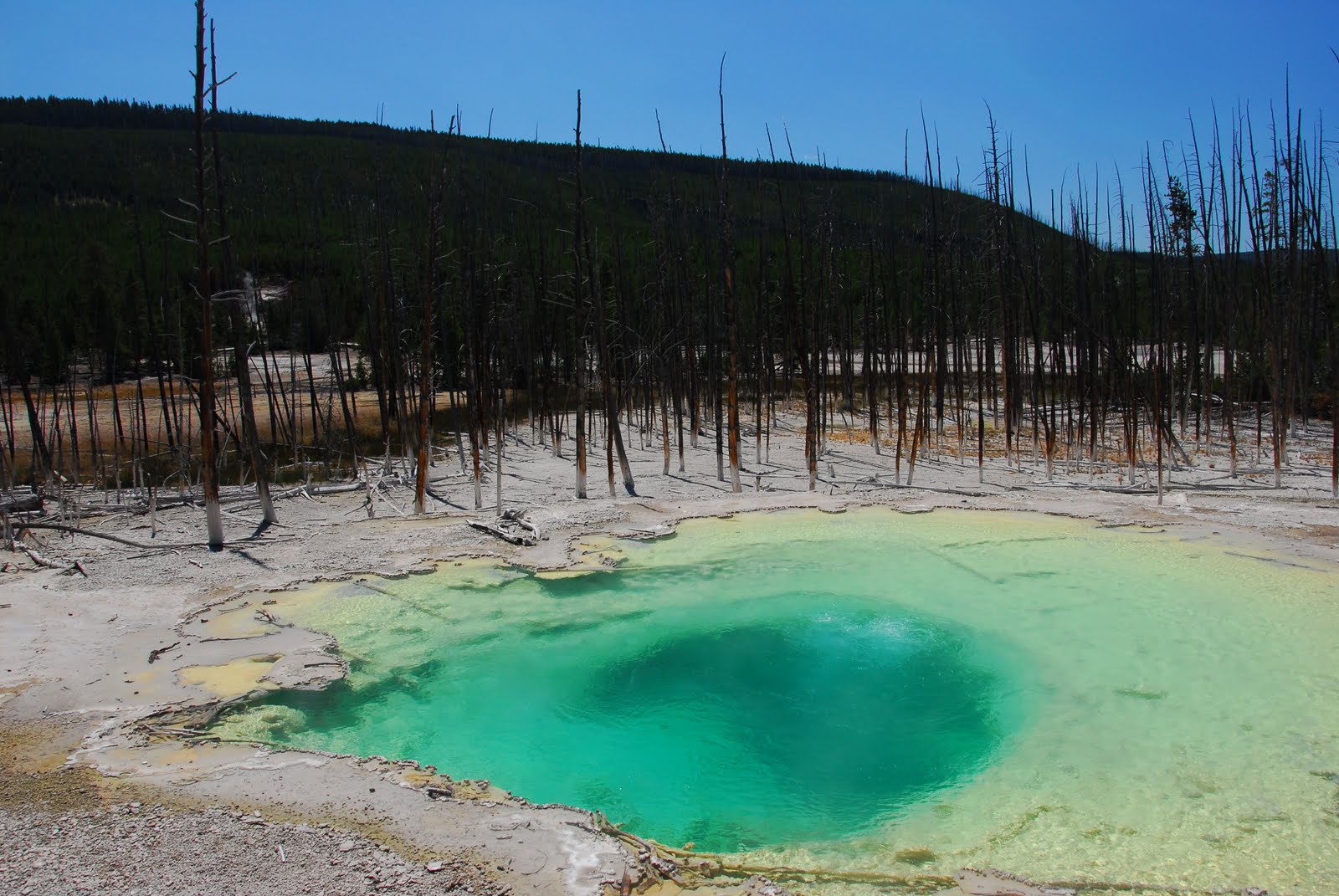 Yellowstone