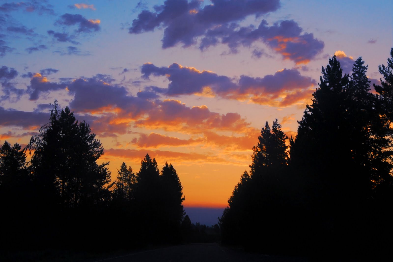 Yellowstone