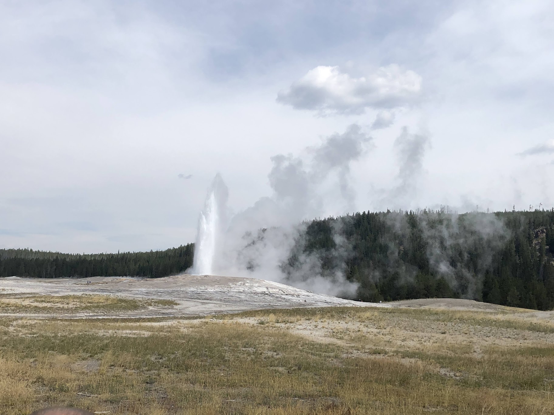 Yellowstone