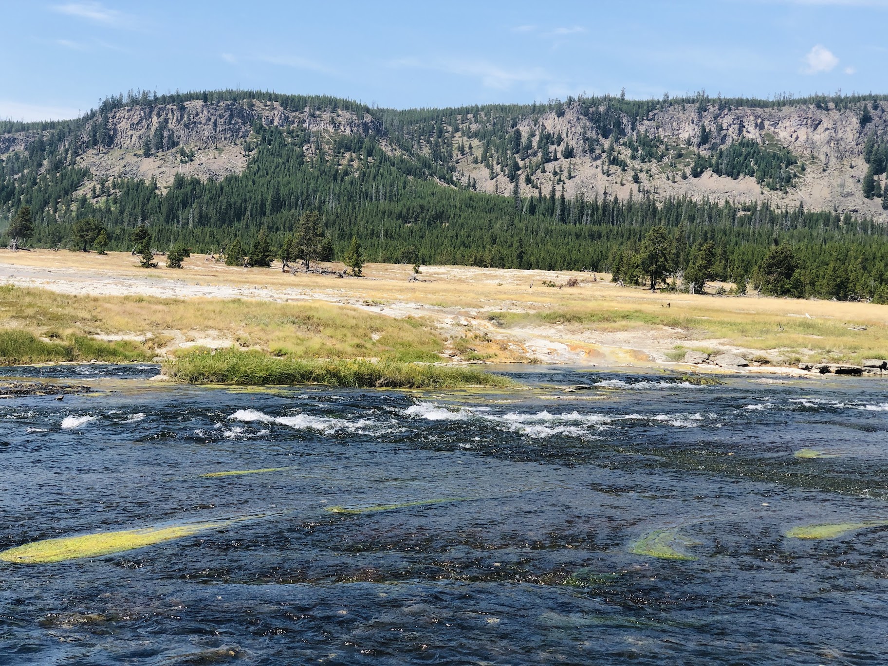 Yellowstone