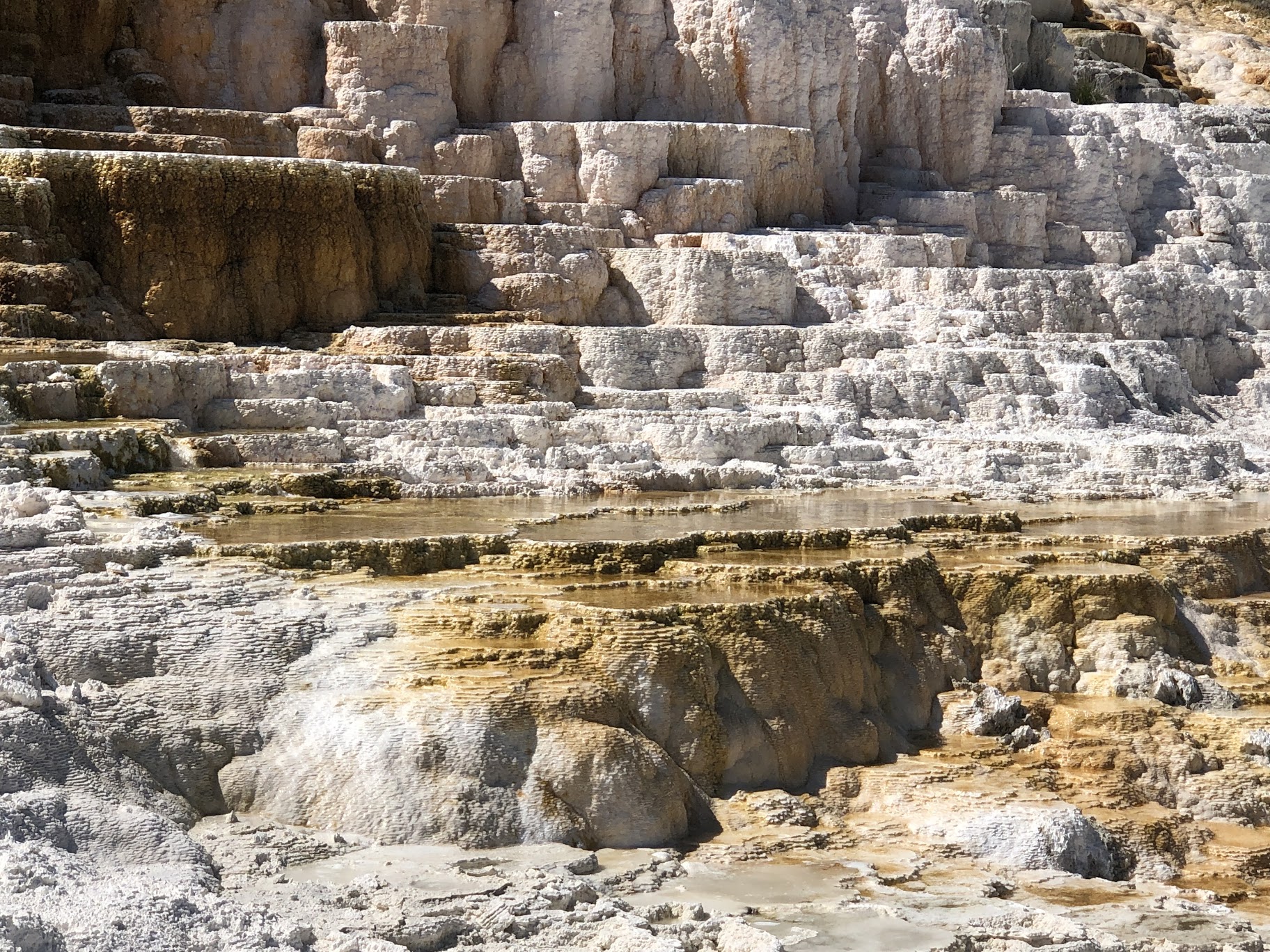 Yellowstone